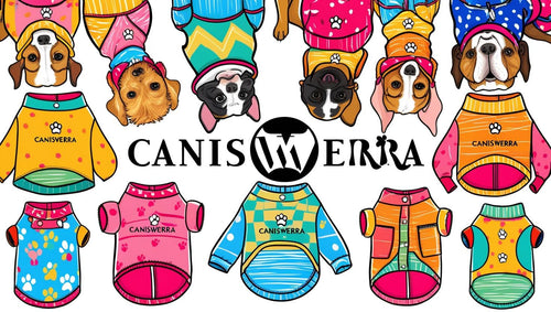 CanisWerra